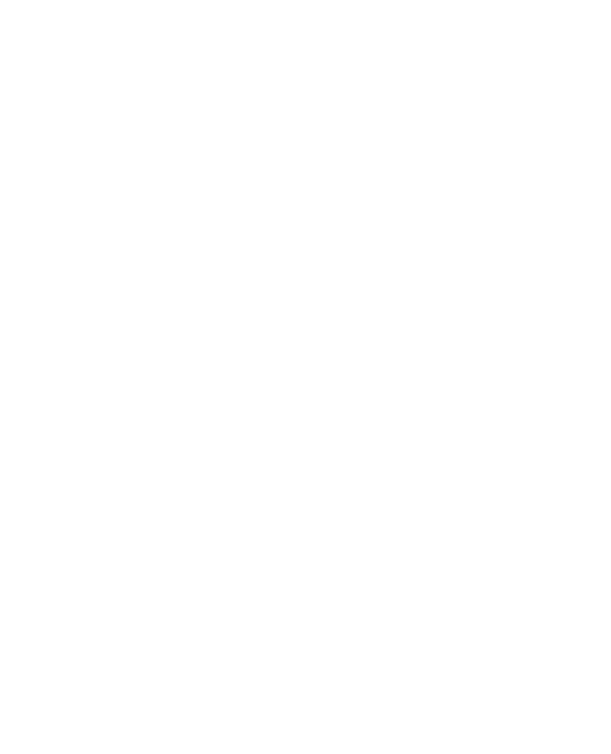 Title-Ravi